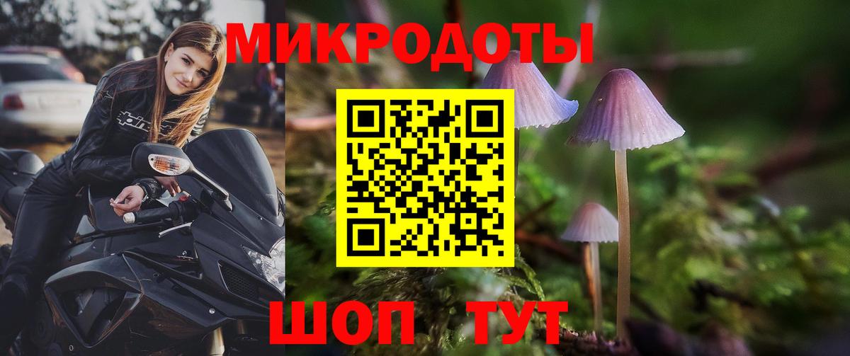 Магадан  Псилоцибиновые грибы ЛСД  Вход с VPN 
